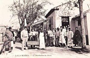 Oran- SDV- 6774- Marnia 